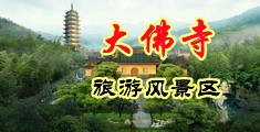 欧美性爱女人屄中国浙江-新昌大佛寺旅游风景区